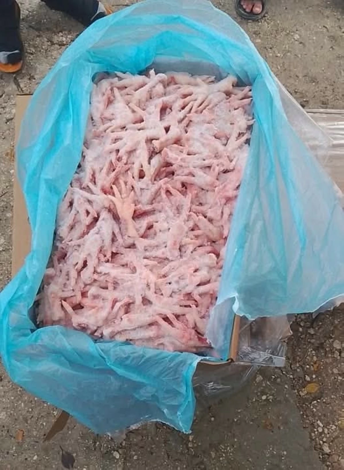 الأغوار الشمالية: ضبط عملية توزيع أرجل دجاج دون تنسيق مسبق