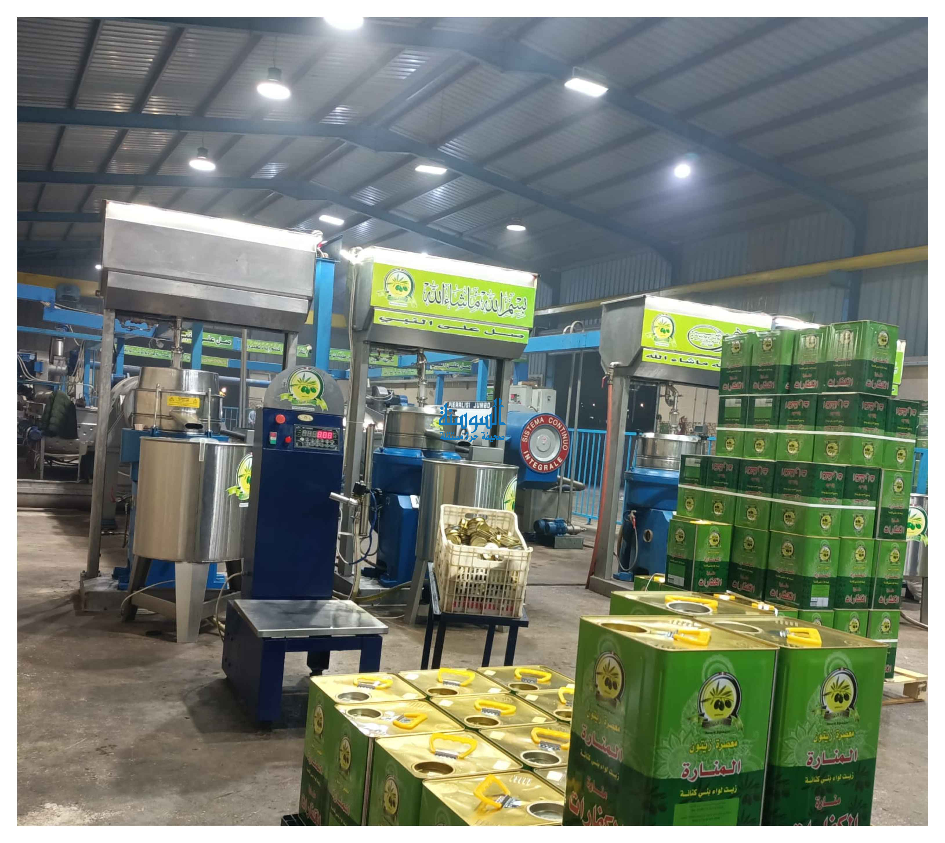 تنكة زيت الزيتون إلى ارتفاع والسعر يستقر عند أرقام قياسية  ..  تفاصيل وفيديو