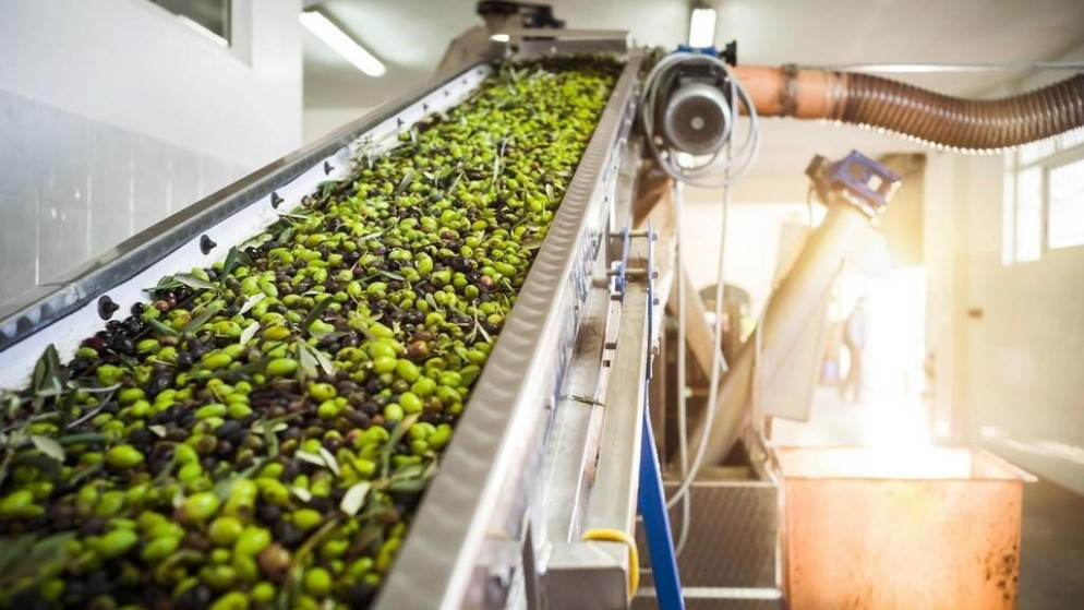 هيئة إدارية جديدة لأصحاب معاصر الزيتون