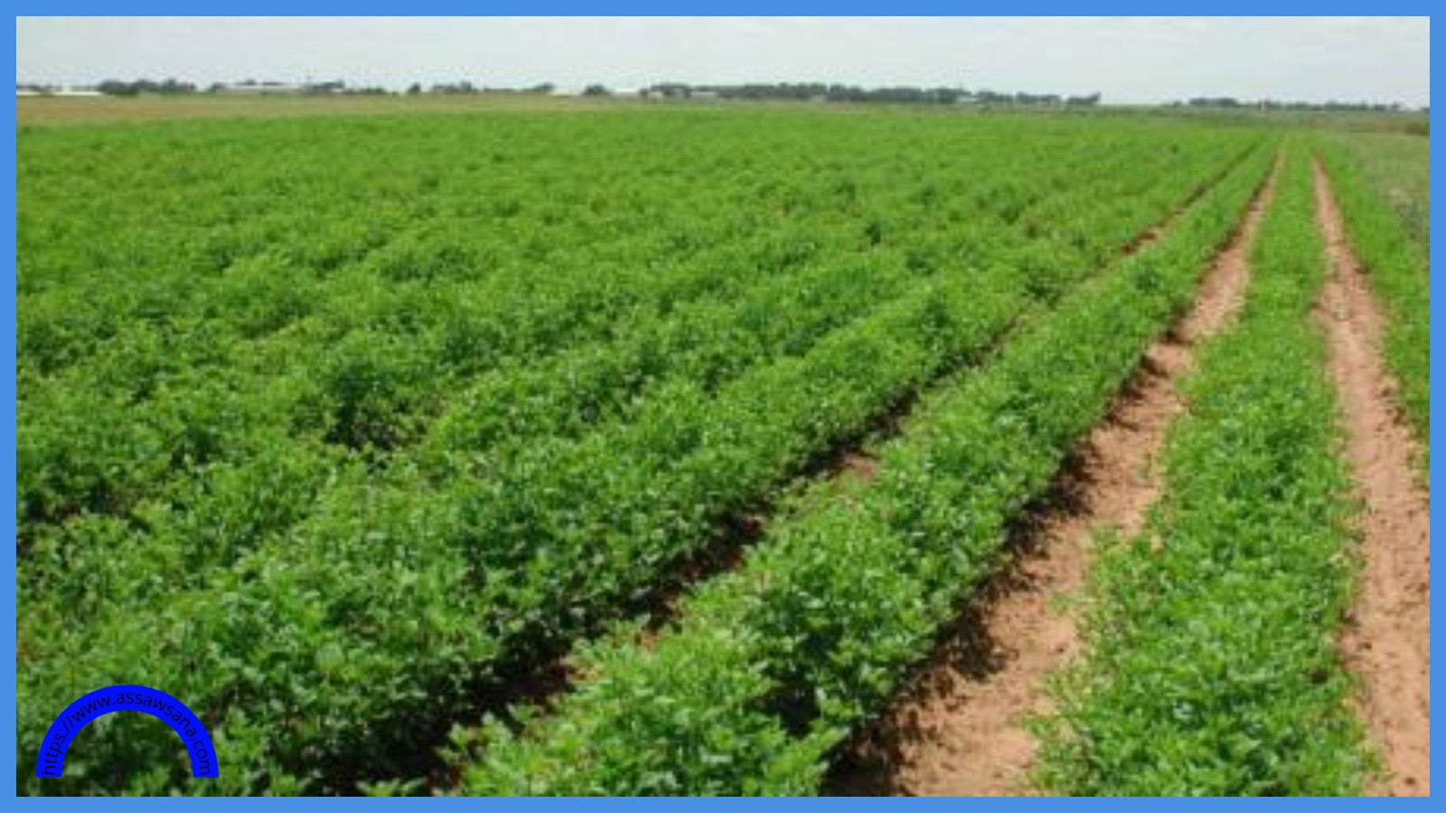 دعوة للمزارعين للاستفادة من مشروع استصلاح الأراضي