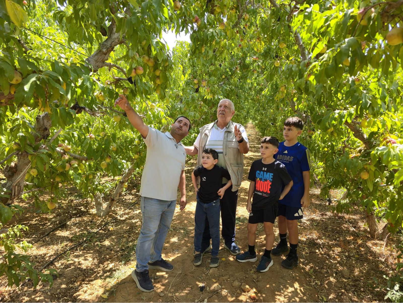 ذهبنا الى حقول البترول الجميلة