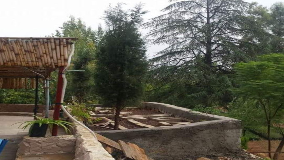 الزراعة تحول مشتل عين جملا الحرجي لإنتاج أشتال الزينة بدلا من الأشتال الحرجية