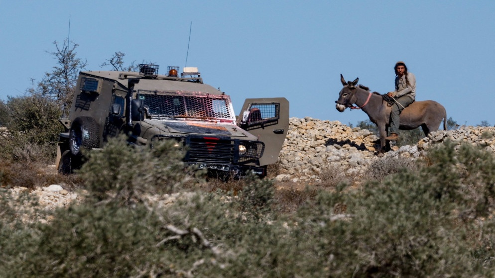 340 اعتداء نفذها الاحتلال والمستوطنون ضد قاطفي الزيتون