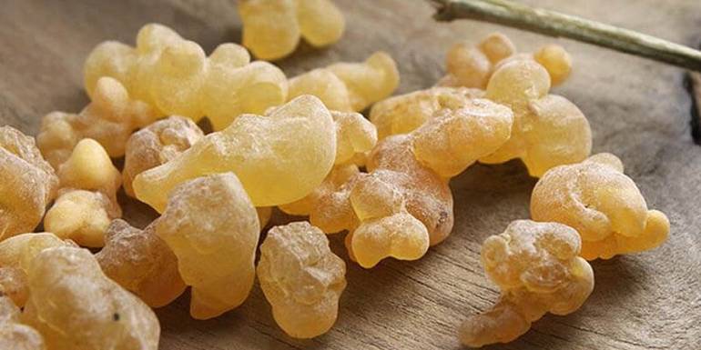 فوائد لبان الذكر للنساء