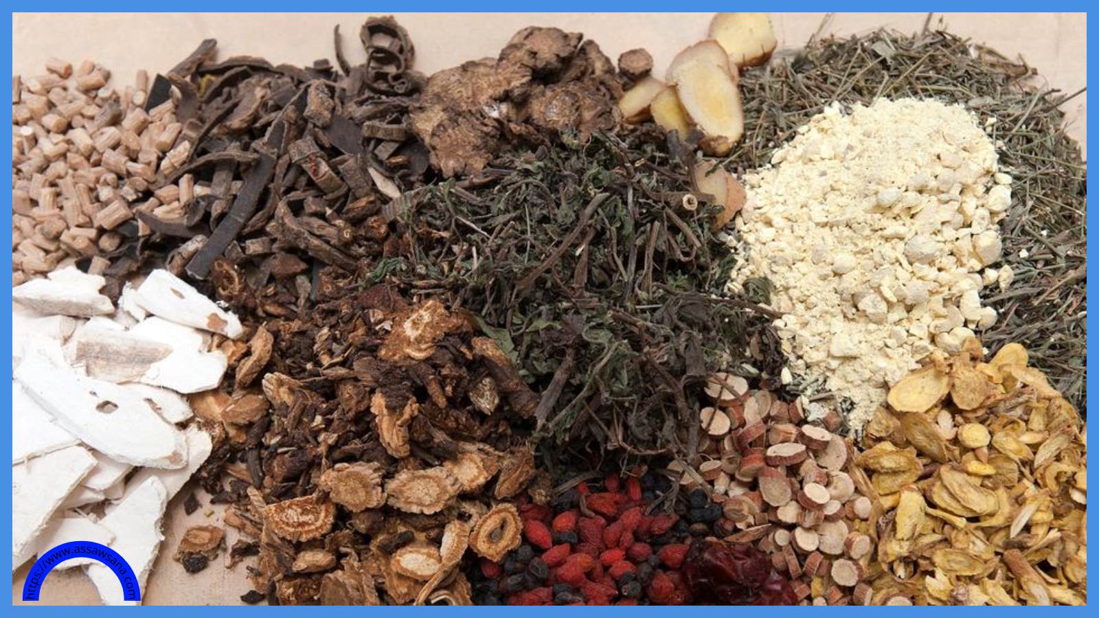 الصحة العالمية والطب التقليدي