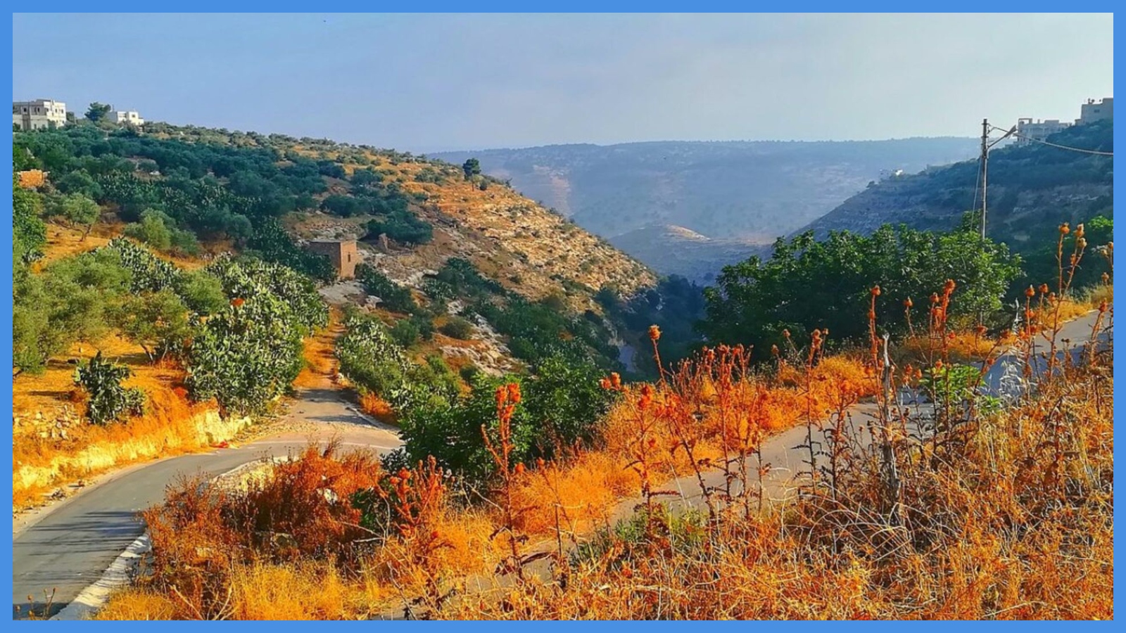 ارتفاعات متتالية على درجات الحرارة ..  تفاصيل الطقس