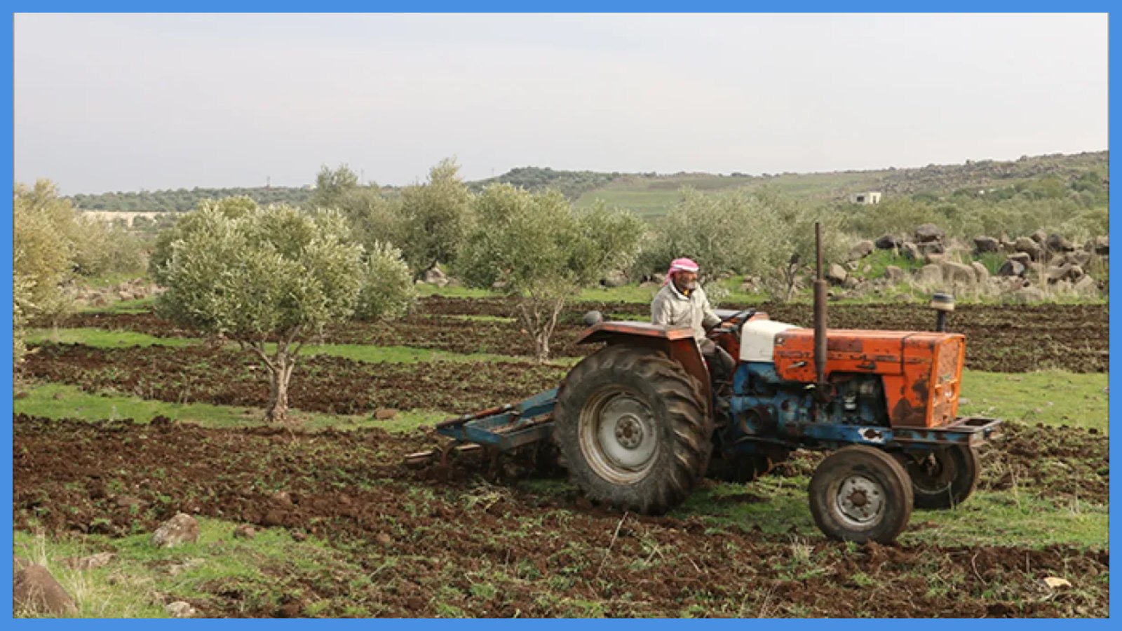 تجهيز الأرض قبل الأمطار ساهم بالحد من الفيضانات