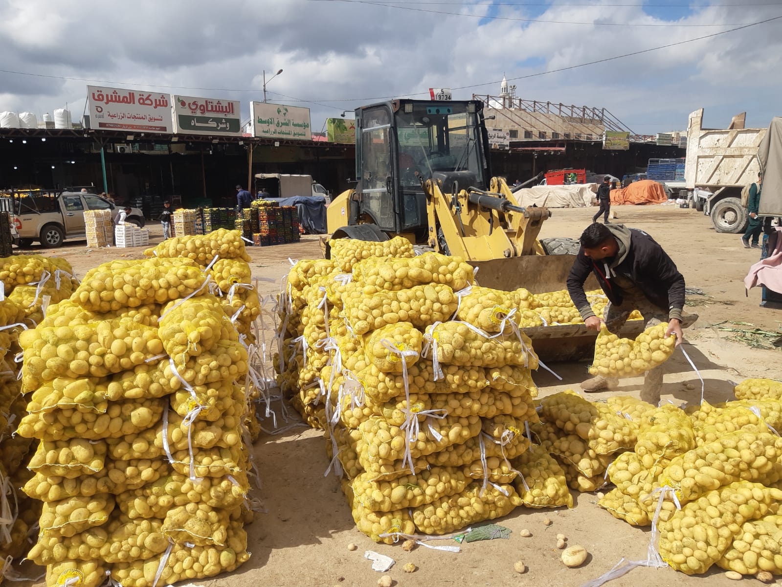 إتلاف كميات من الموز والبطاطا غير الصالحة للاستهلاك في إربد