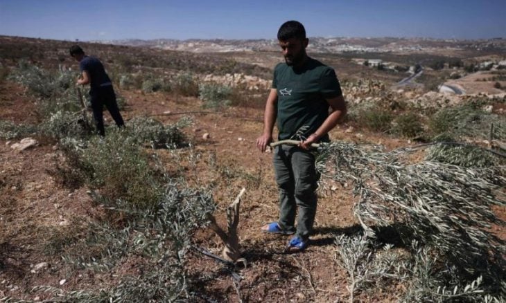 هجمات المستوطنين تُهجّر نحو 100 أسرة فلسطينية من الضفة خلال أسبوعين