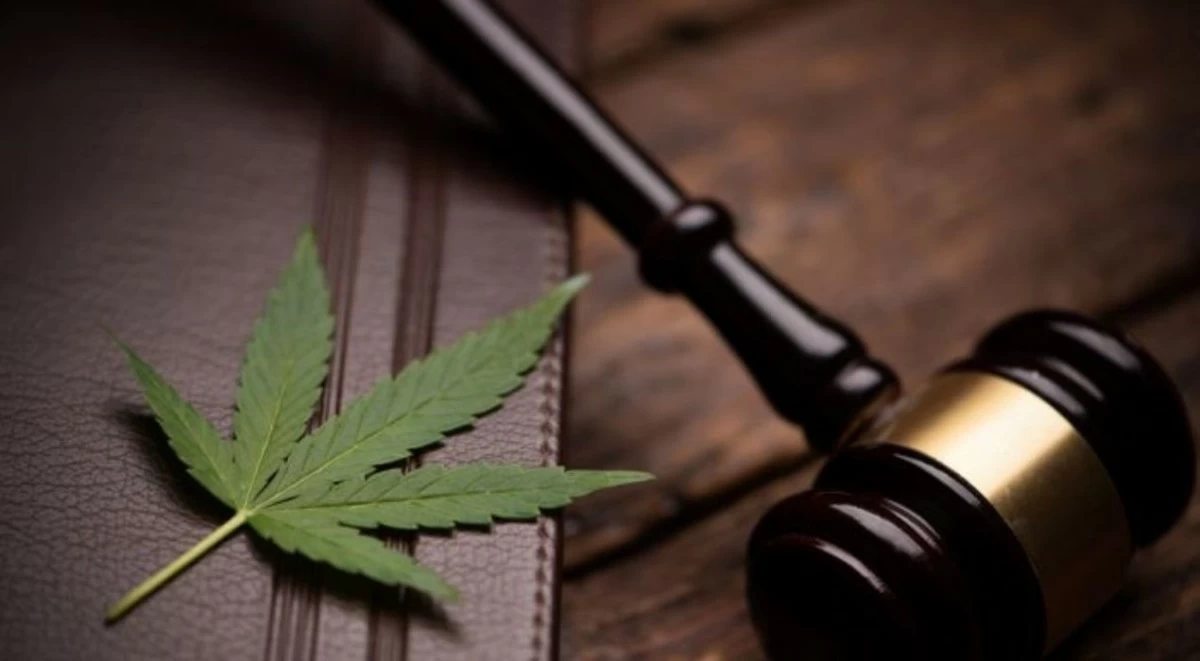 أمن الدولة تمنع محاكمة شاب بجناية الترويج بعد الفحص