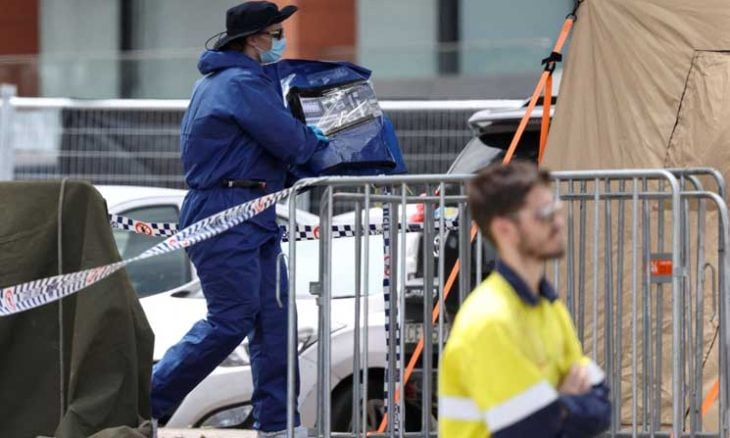 إلقاء رؤوس خنازير على مقبرة إسلامية ..  التفاصيل