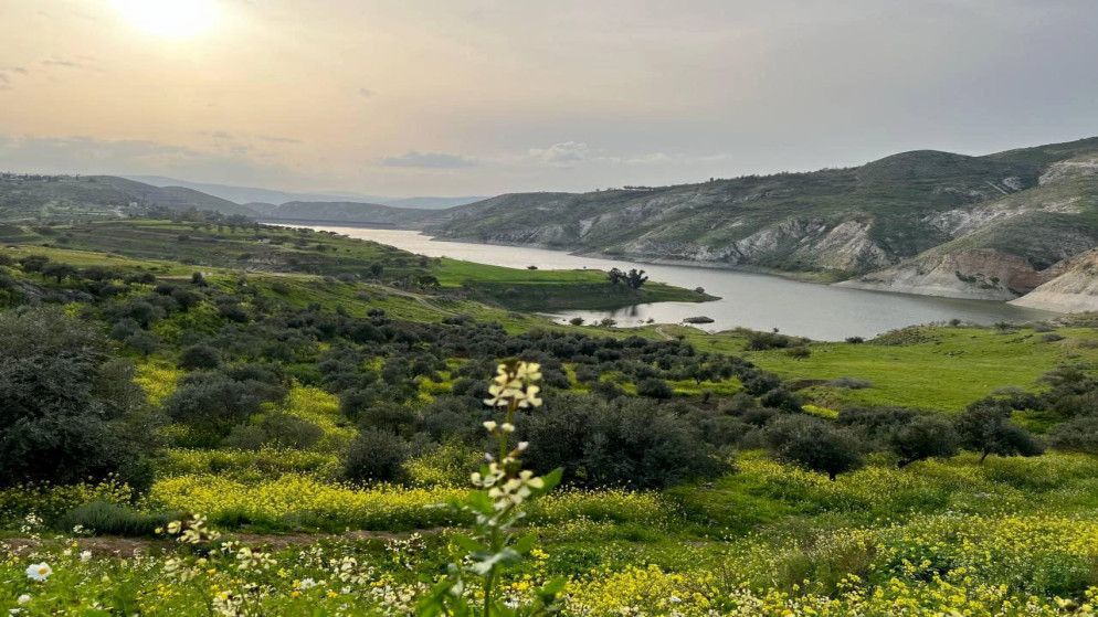 زراعة الأغوار الشمالية تدعو المزارعين للاستعداد للمنخفض الجوي