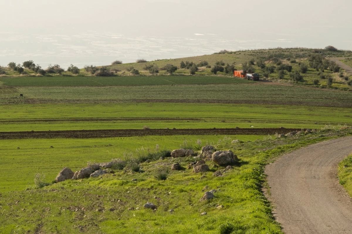الزراعة : أمطار الخير تعزز وتدعم الثروة النباتيةً