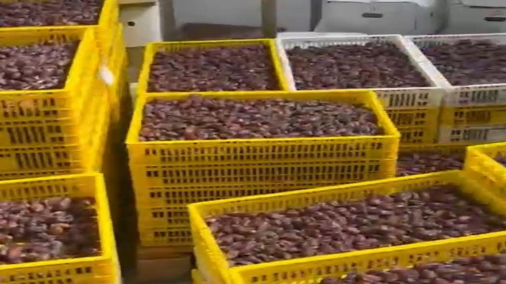 الغذاء والدواء تغلق مصنع تعبئة تمور غير مرخص 