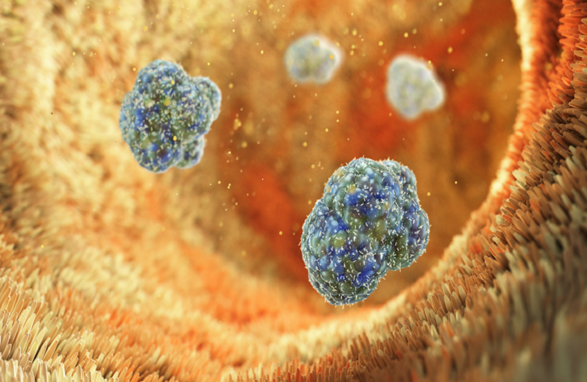 خبر سار ..  اكتشاف قد يحدث ثورة بالوقاية من السمنة