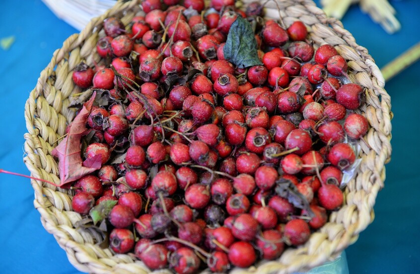 مستخلص الزعرور: صديق كبدك ضد الدهون