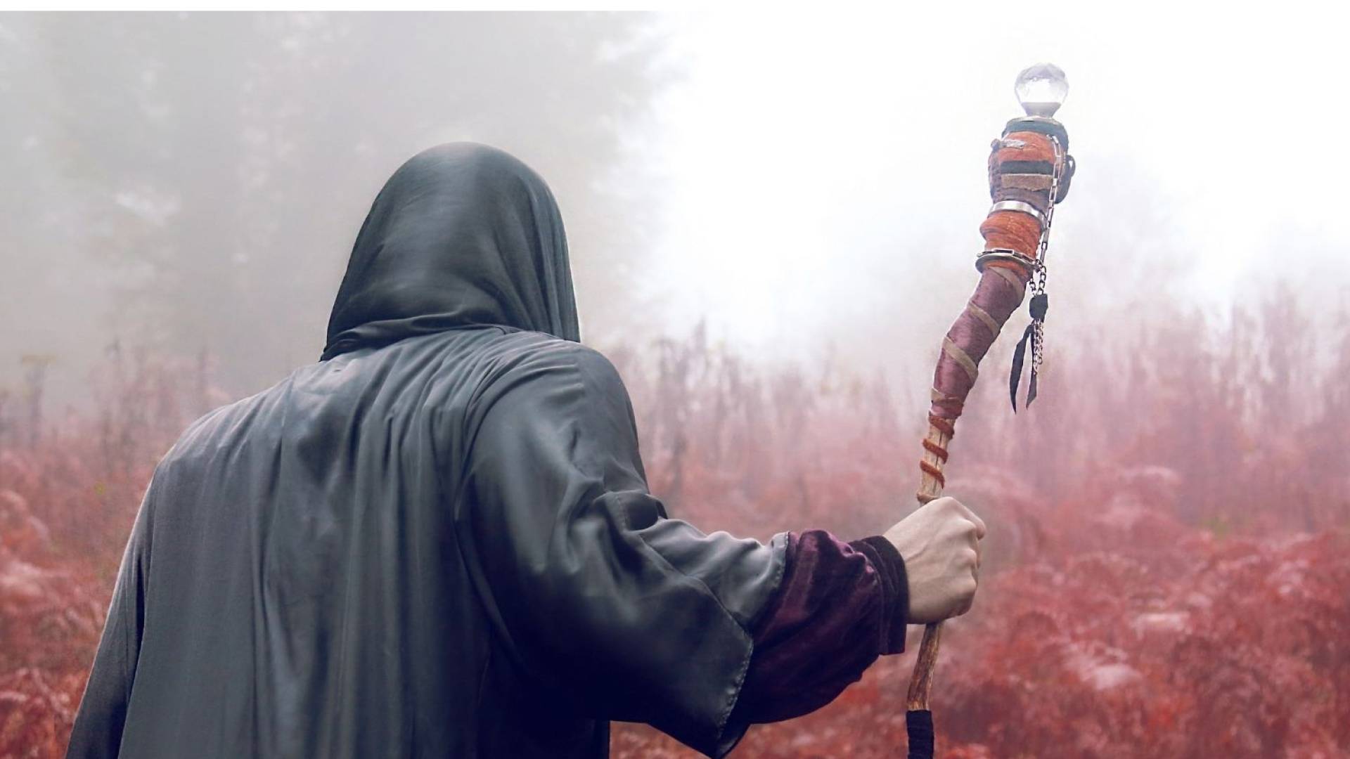 مصر  ..  الداخلية تكشف ملابسات فيديو اعتداء وفضح دجال 