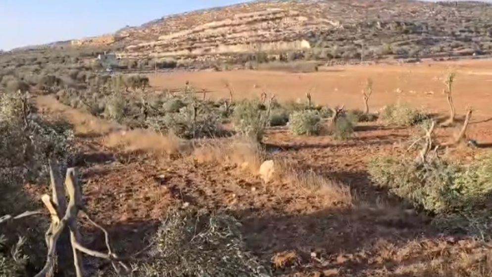 سلطات الاحتلال تصدر قرارا باقتلاع أشجار من أراض غربي رام الله