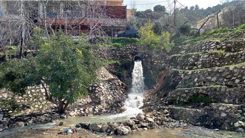 أمطار الخير في عجلون تبشر بموسم زراعي جيد