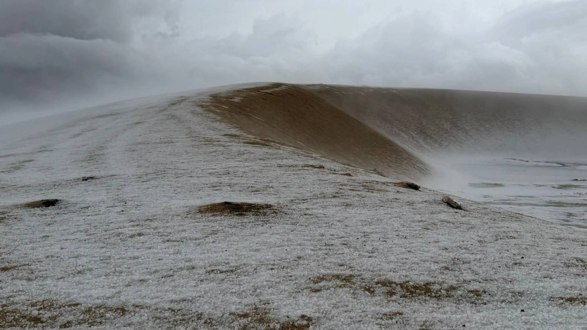 الصقيع يغطي صحراء الدوحة: مشهد نادر يدهش سكان قطر وزوارها