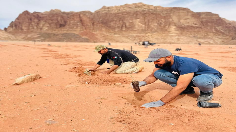 مبادرة لزراعة 1000 شتلة في وادي رم