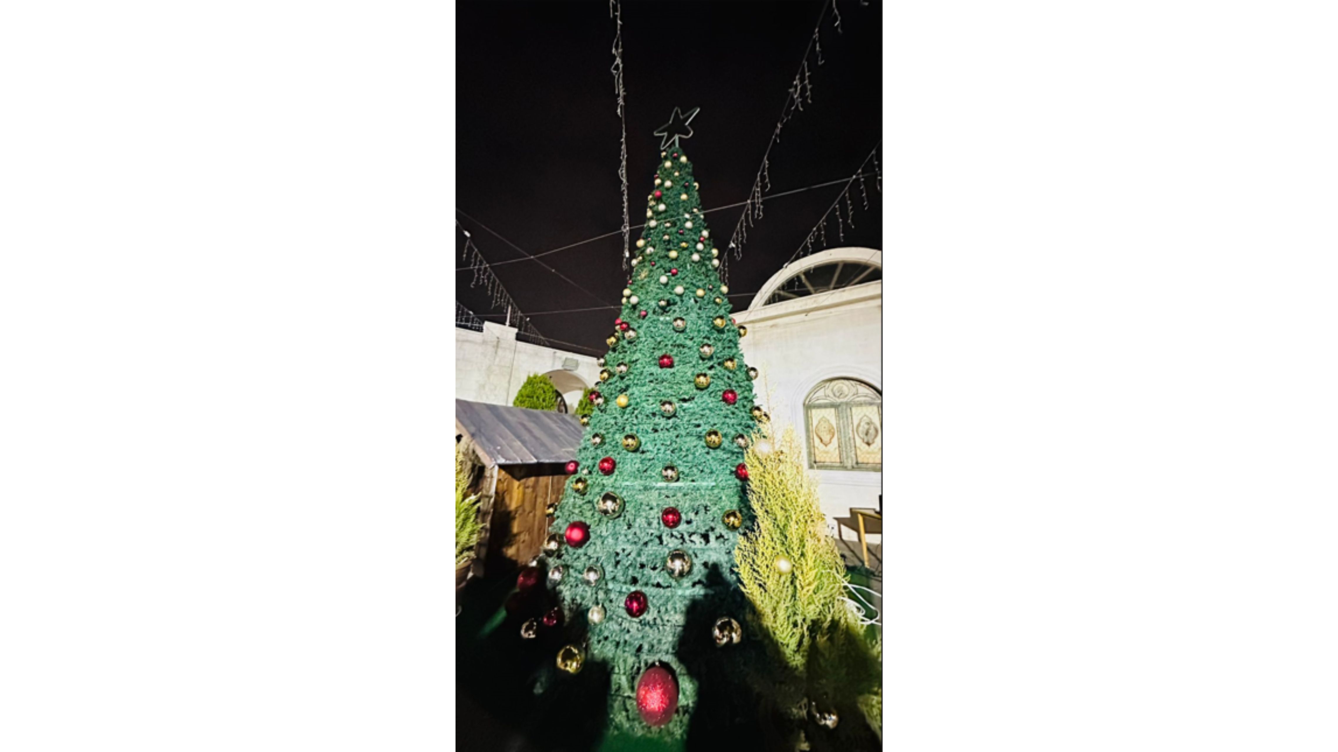 إضاءة شجرة عيد الميلاد في كنيسة سيدة الجبل بعنجرة