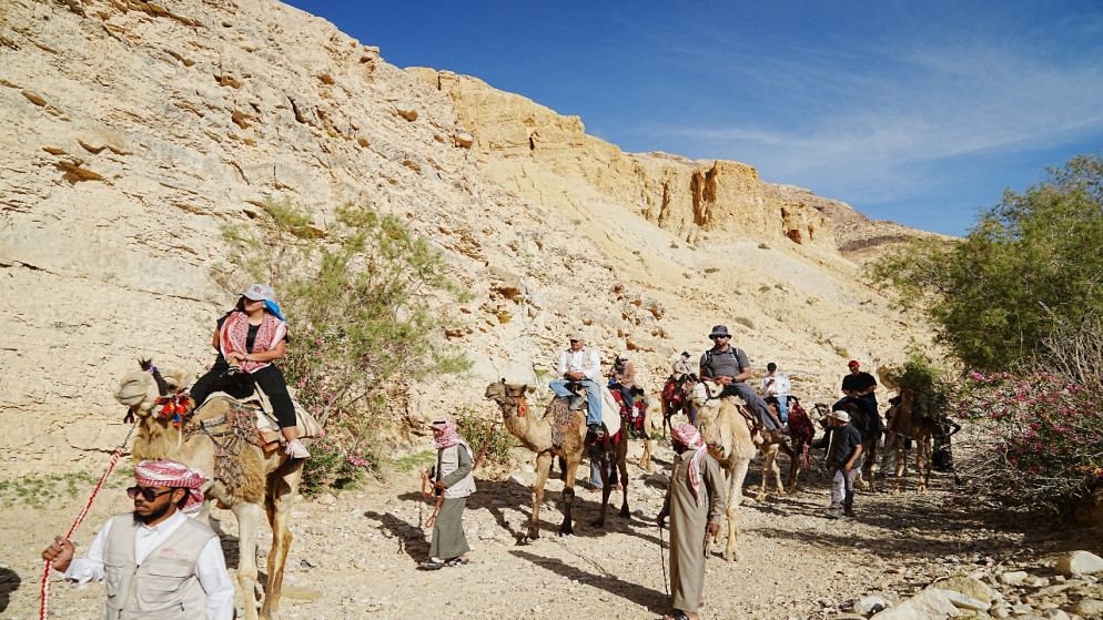 البترا تستقبل 81 ألف زائر بزيادة 71% عن العام الماضي