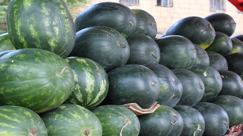 البدء باستقبال طلبات منح تصاريح بيع البطيخ والشمام