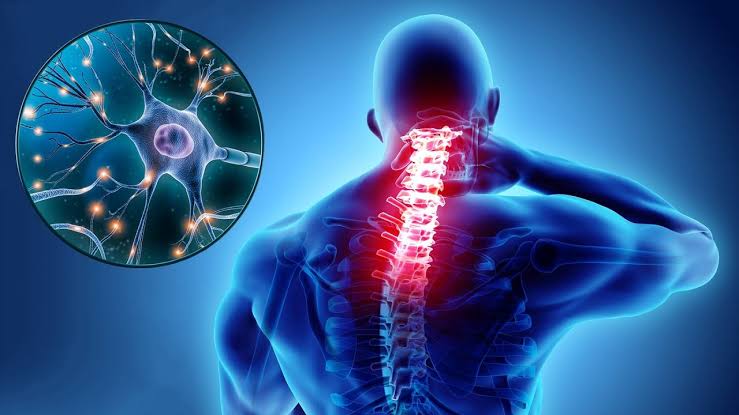 اكتشاف جديد يمهد لعلاج التصلب المتعدد