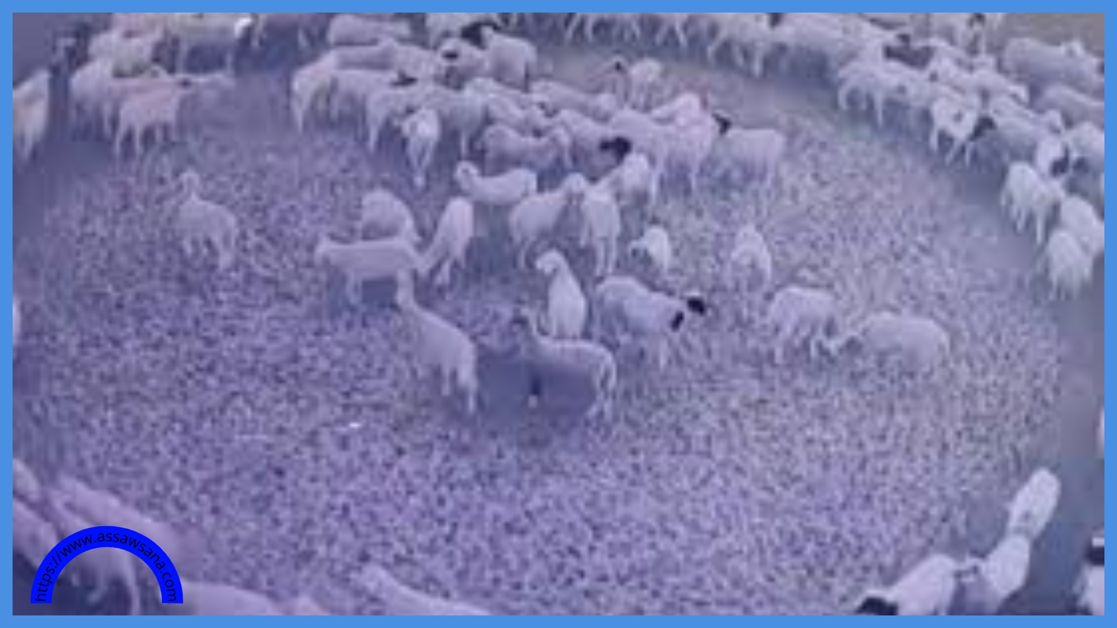 ظاهرة مريبة انتشرت بعدة دول ..  هل تعني نهاية العالم