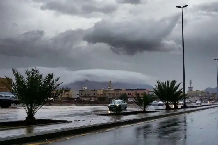 الأجواء الباردة تعود اليوم  ..  والمعاطف تصبح ضرورة من جديد