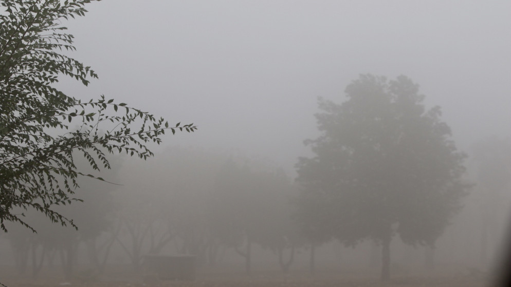 سلطة وادي الأردن تفعّل خطة الطوارئ خلال المنخفض 