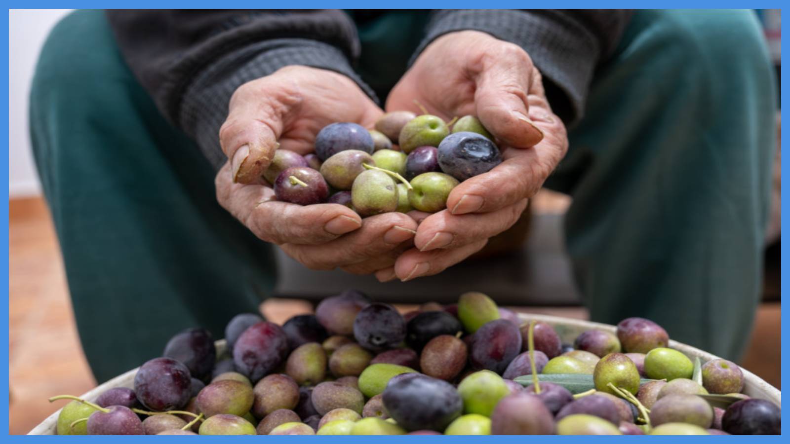 مهم من الزراعة بشأن استيراد زيت الزيتون