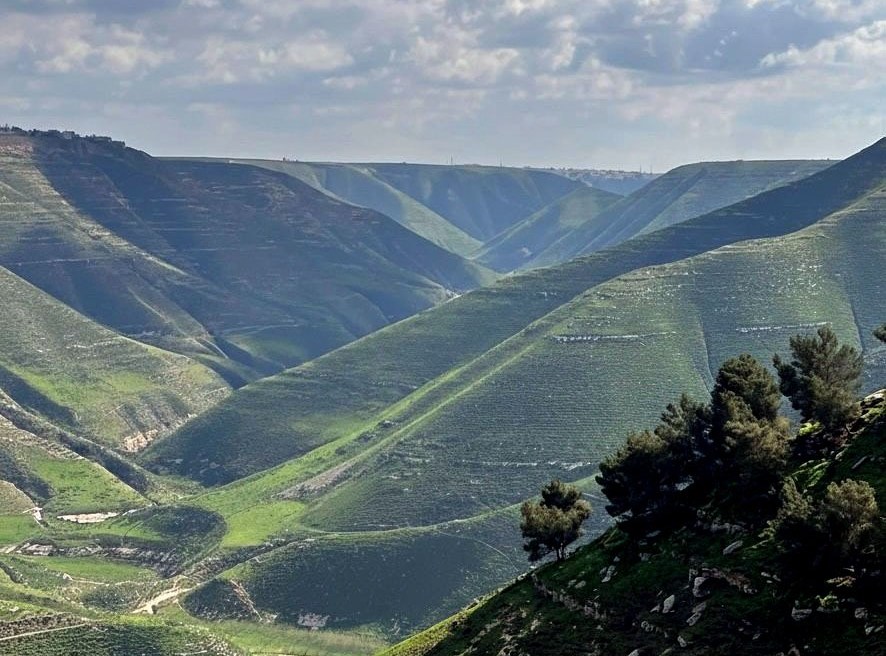 خبراء: إربد تتألق في الربيع بين الطبيعة الخلابة والتاريخ العريق