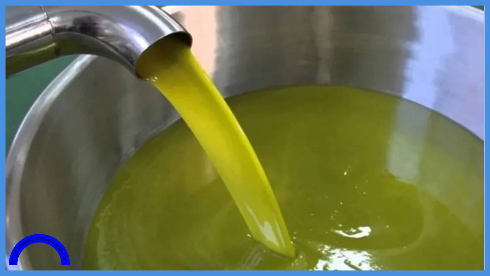 نقيب المعاصر يكشف سبب ارتفاع سعر الزيت وموعد انخفاضه