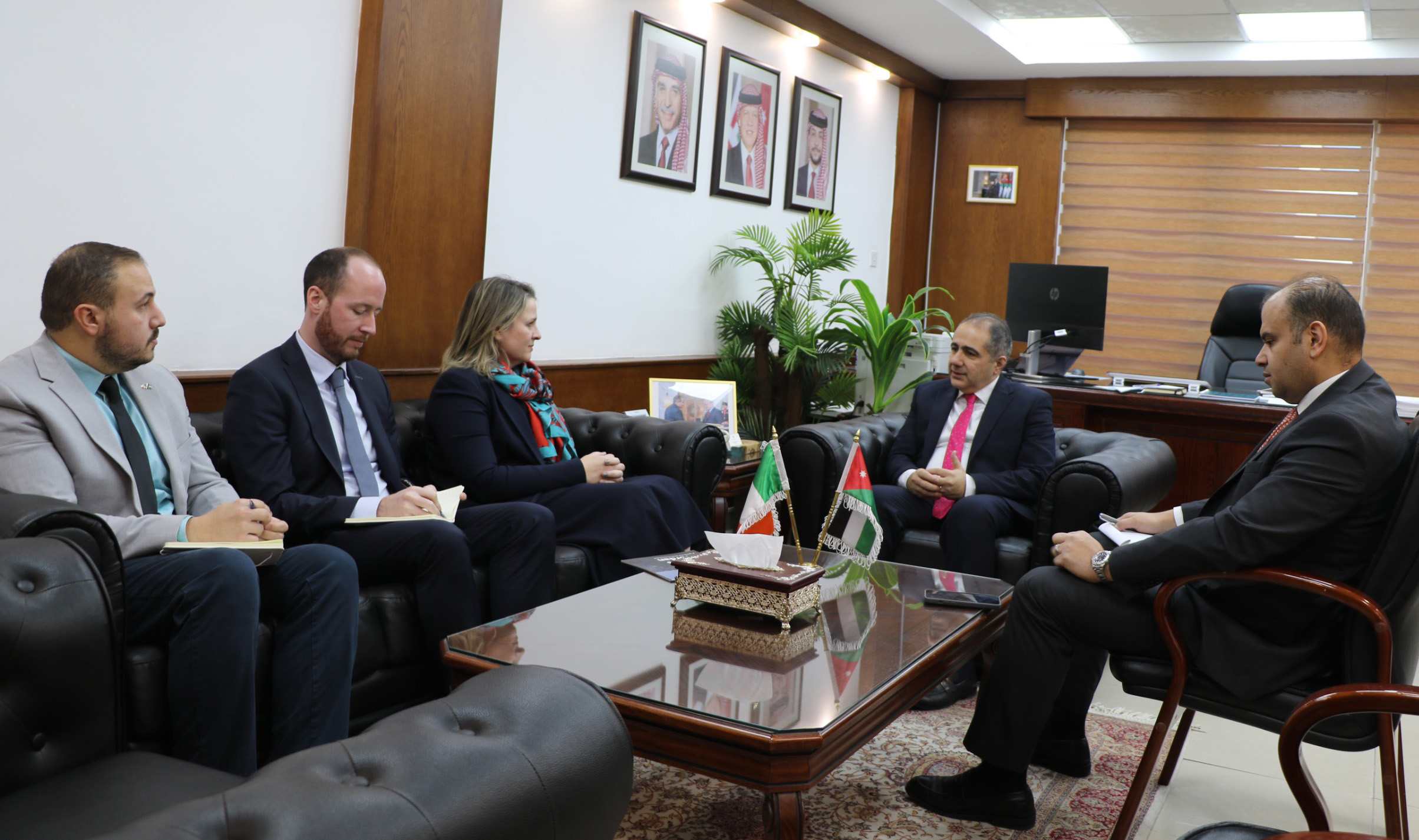 وزير الاستثمار يبحث والسفيرة الإيرلندية تعزيز التعاون المشترك