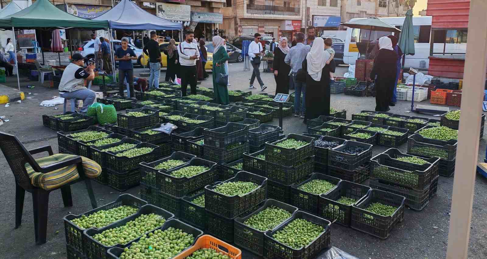 سوق رصيع الزيتون في إربد ..  فرصة موسمية للعمل