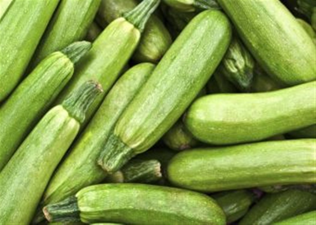  سعر كيلو الكوسا يصل إلى 90 قرشاً محلياً