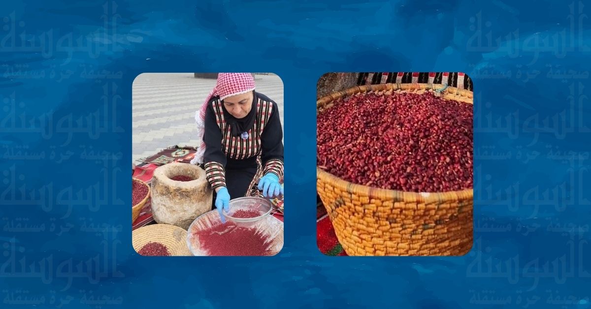 طحنه بحجر عمره 300 عام ..  السماق البلدي يحفظ الذاكرة والتراث في عجلون 