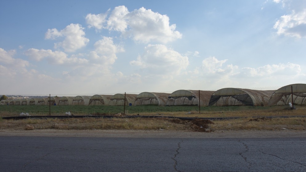 ارتفاع أسعار المنتجين الزراعيين بنسبة 6.9% خلال 10 أشهر