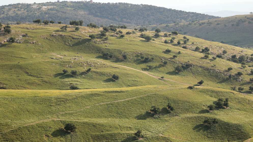 أجواء مشمسة والحرارة أعلى من معدلاتها بـ 6 درجات