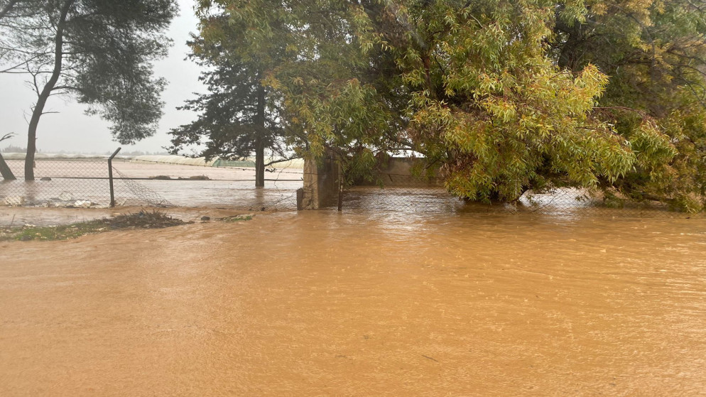 الموسم المطري الحالي الأفضل منذ 10 سنوات