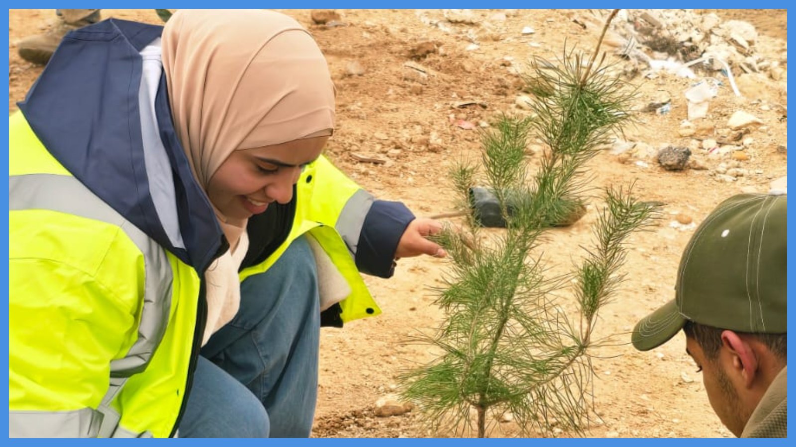 زراعة 3000 شجرة في الطفيلة