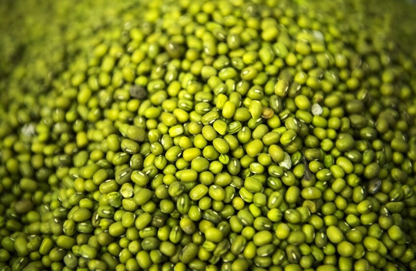 حبوب المونج تعزز صحة القلب وتخفض الكوليسترول