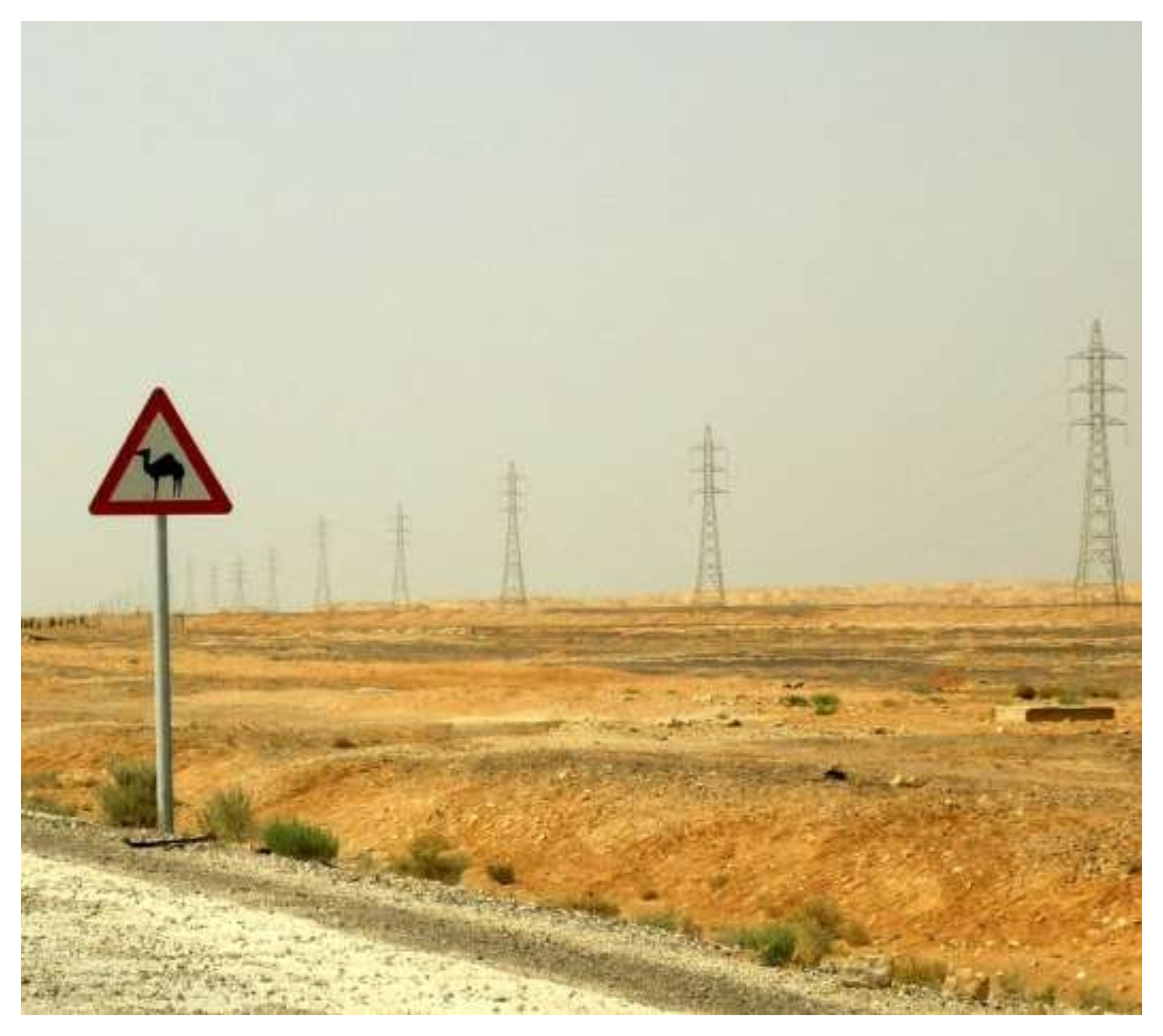 الكهرباء الوطنية: مخزون الوقود يكفي 30 يوماً رغم تراجع إمدادات الغاز