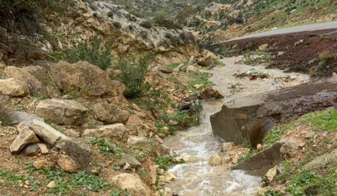 أبو عرابي: الهطولات المطرية دفعة قوية للقطاع الزراعي