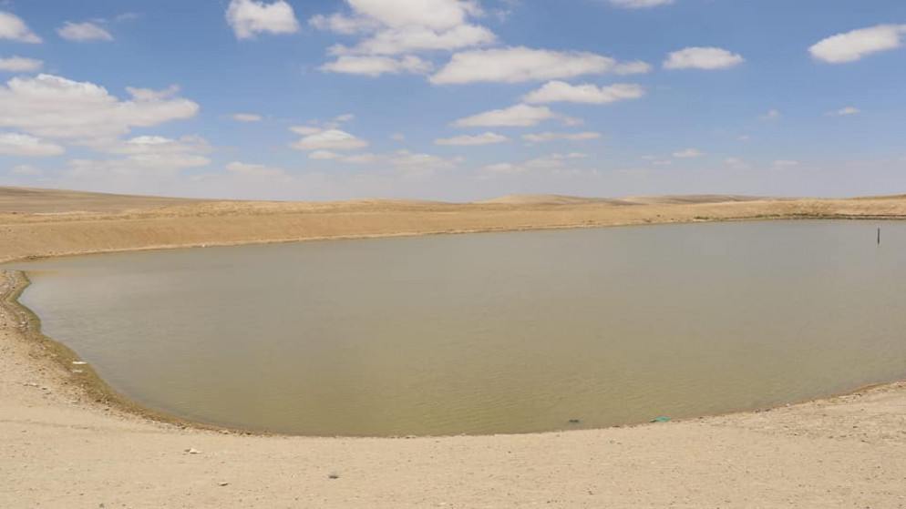 زراعة المفرق: ارتفاع نسبة تخزين مياه الأمطار في الحفائر والسدود إلى 60%