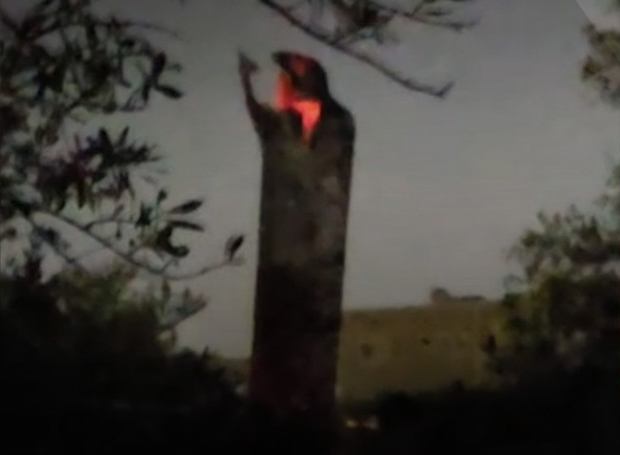 الجيش: الصواريخ والمسيّرات الإيرانية كانت تستهدف منشآت حيوية داخل الأردن