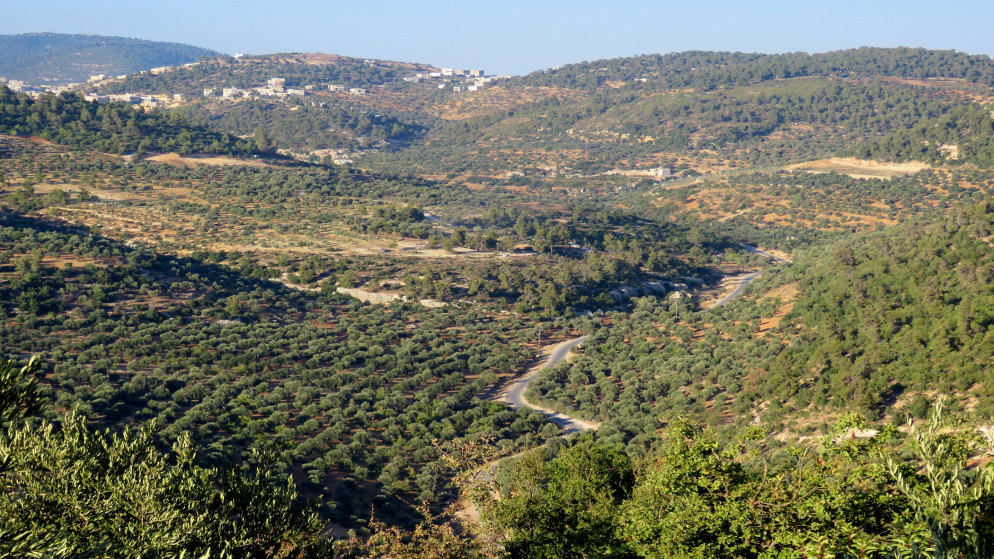 الزراعة تستبعد تأثر الموسم المطري رغم التأخر