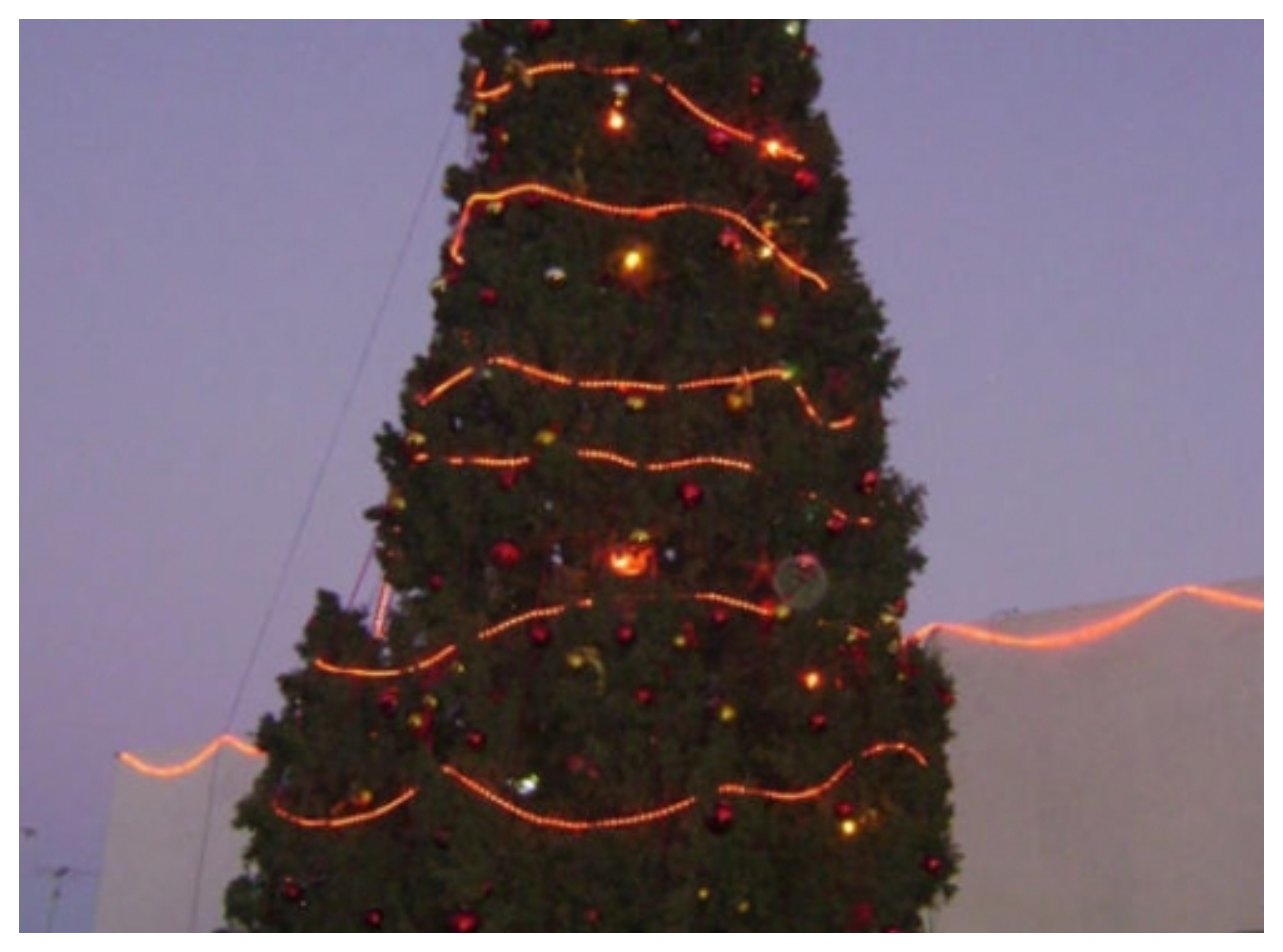 الكرك تحتفل بإضاءة شجرة الميلاد رسالة سلام ووئام